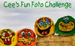 Cee's Fun Foto Challenge