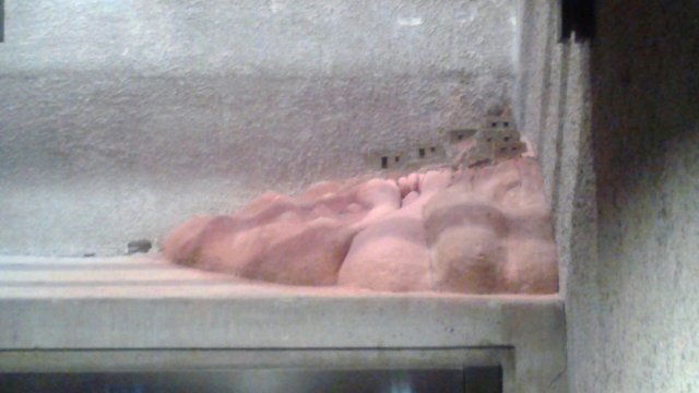 Dwellings a sculpture hidden in a Museum stairwell